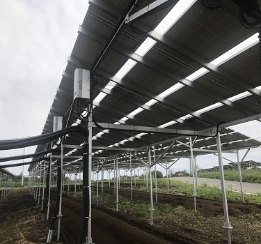 güneş çiftliği montaj sistemi, japonya
